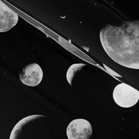 Moon Phases