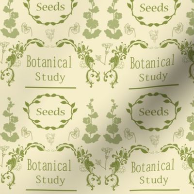 Botanical_Study_Seeds