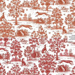 Greyhound toile sampler #2--WALLPAPER SWATCH ONLY 