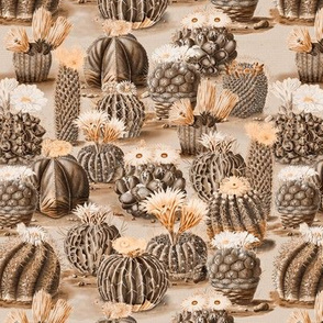 Cactus Sepia // small