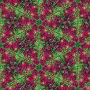 Leaf Hexagon 1