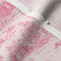 Baby Pink Reverse Greyhound Toile 