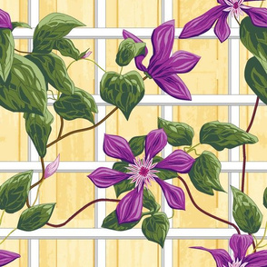 clematis_sq_c