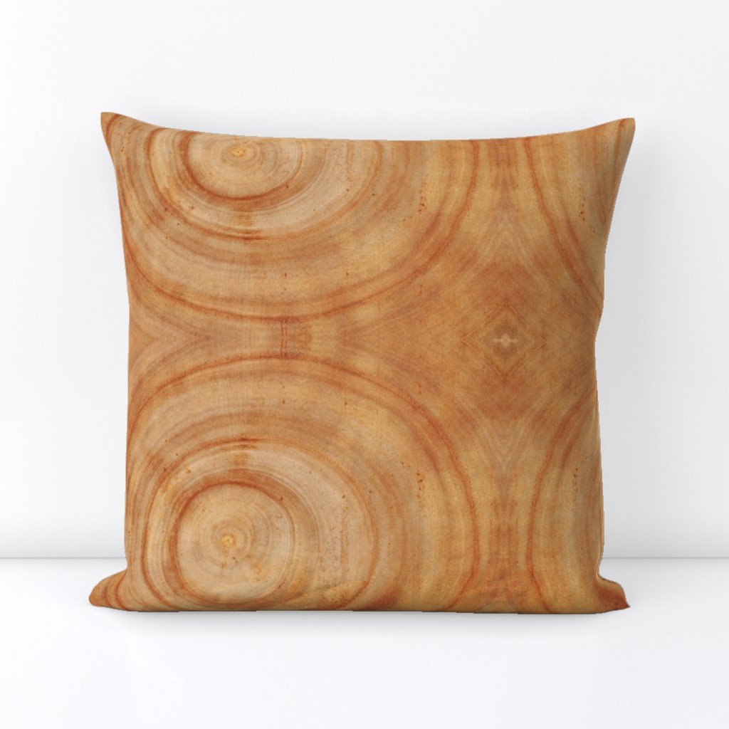 Tree Rings // Large