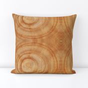 Tree Rings // Large