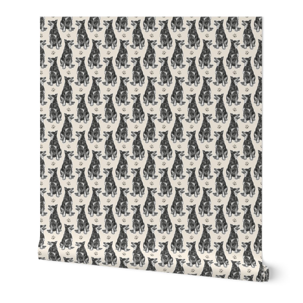 Small sitting Australian cattle dog - paw print sepia