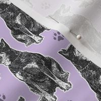 Small sitting Australian cattle dog - paw print purple