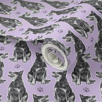 Small sitting Australian cattle dog - paw print purple