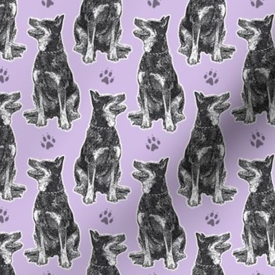 Small sitting Australian cattle dog - paw print purple