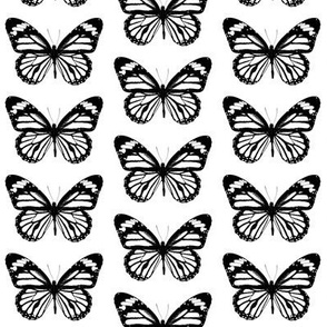 Small Butterflies 