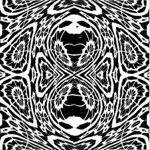 Black and White Fluid Abstract