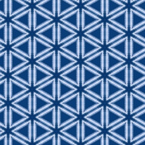 Indigo Dyed Pattern