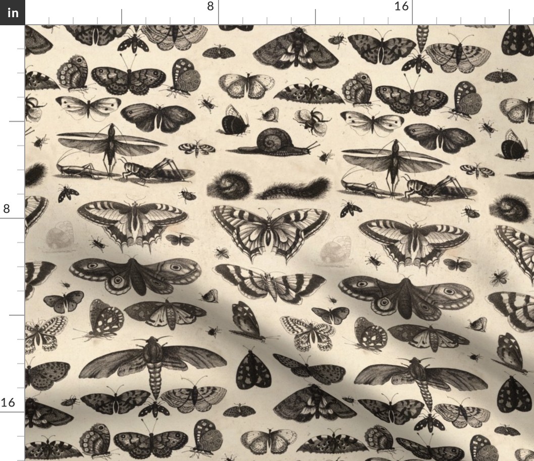 Vintage Insect Fabric, Entomologist's Delight