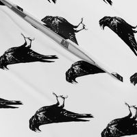 Crows // Large