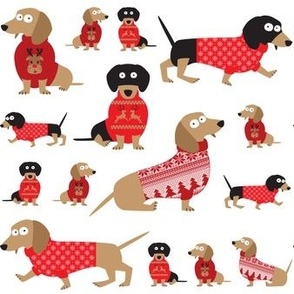 Dachshunds in Christmas sweaters