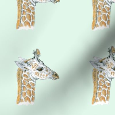 Custom Sized Baby Giraffe for Quilt Blocks