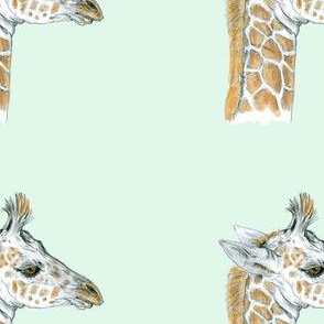 Custom Sized Baby Giraffe for Quilt Blocks