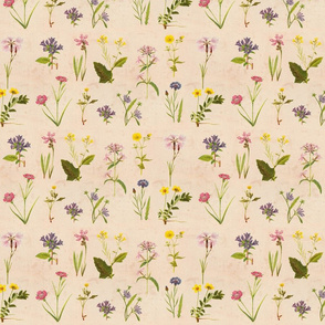 Antique Wildflowers on Paper
