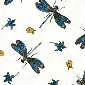 Blue Dragonflies on White