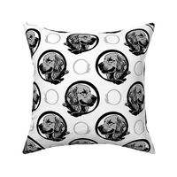 Collared Golden Retriever portraits - gray