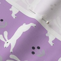 bunny rabbit // purple sweet little baby bunnies rabbits spring easter cute girly pastel purple rabbits