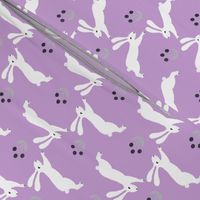 bunny rabbit // purple sweet little baby bunnies rabbits spring easter cute girly pastel purple rabbits