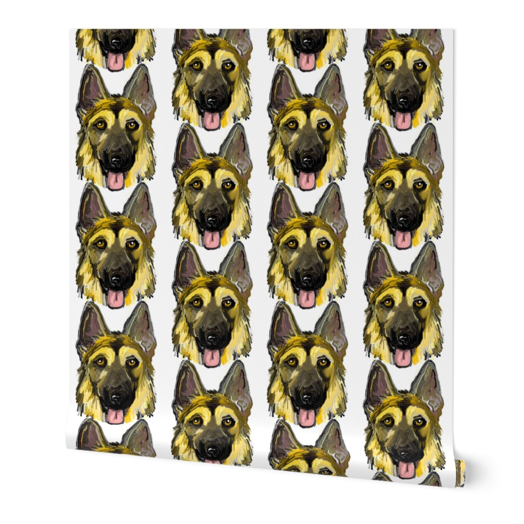 German Shepherd Dogs Portraits on White