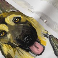 German Shepherd Dogs Portraits on White