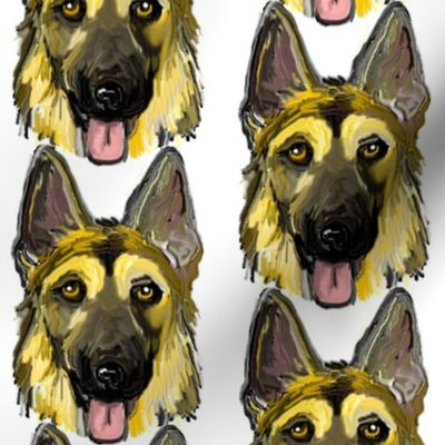 German Shepherd Dogs Portraits on White