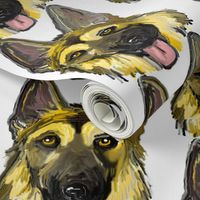 German Shepherd Dogs Portraits on White