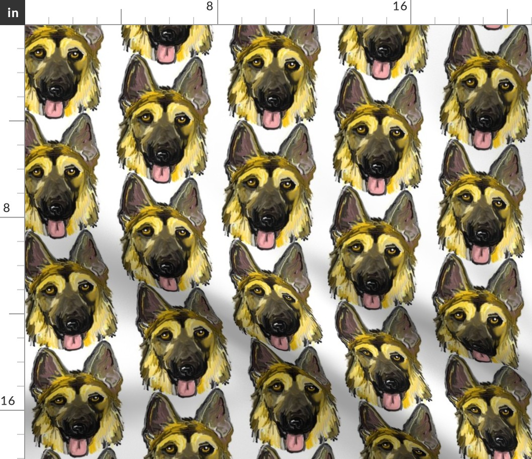 German Shepherd Dogs Portraits on White