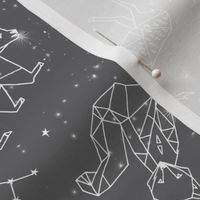 Constellations // geometric animal star nursery