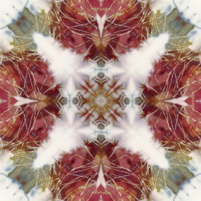 Kaleidoscope Tie Dye_3