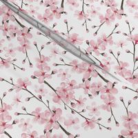 cherry blossom watercolor  // cherry blossom floral