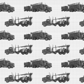 Log Trucks B & W