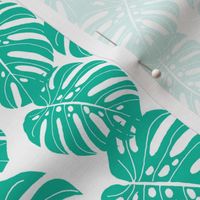 monstera // tropical palm print tree summer cheese plant houseplant trend