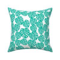 monstera // tropical palm print tree summer cheese plant houseplant trend