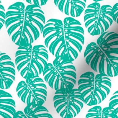 monstera // tropical palm print tree summer cheese plant houseplant trend