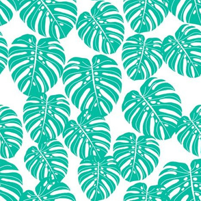 monstera // tropical palm print tree summer cheese plant houseplant trend