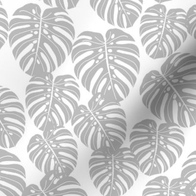 monstera // grey and white kids tropical palm palms palm print trend