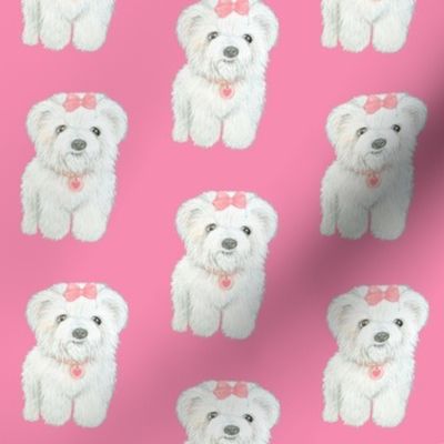 Bichon Frise Puppy // Poodle // Coton de Tulear // Maltese // Shih Tzu // Löwchen // Havanese //  Bolognese puppy // Pink // Dog // Puppy // By Magenta Rose Designs