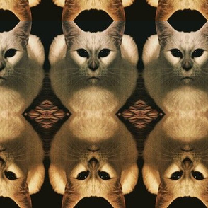 Cat portrait : Cat army