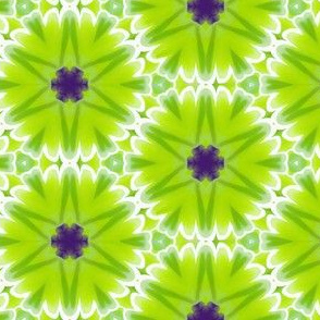 flowers in Lime Green and Purple