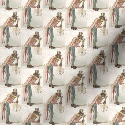 American Banjo fabric