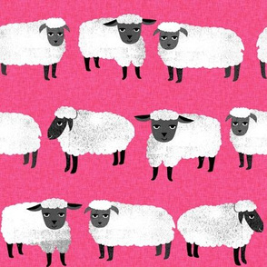 sheep // farm animals hot pink nursery 