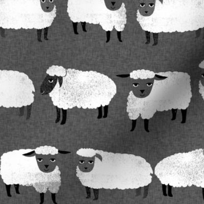 sheep // wool knitting animal farm sheep