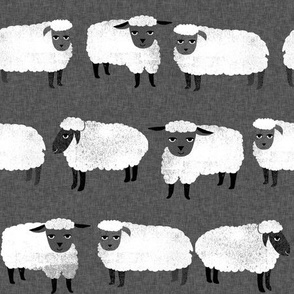 sheep // wool knitting animal farm sheep