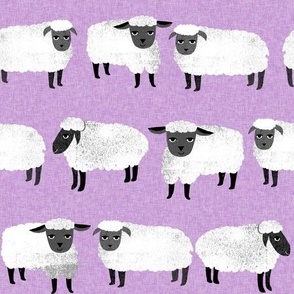 sheep // pastel purple sheep farm animals