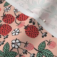 strawberry garden // strawberries blush pink fruits fruit summer sweet