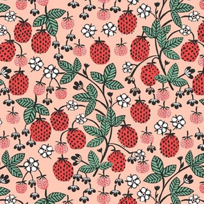 strawberry garden // strawberries blush pink fruits fruit summer sweet